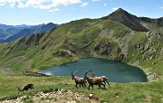 85 Con vista sul Lago Moro